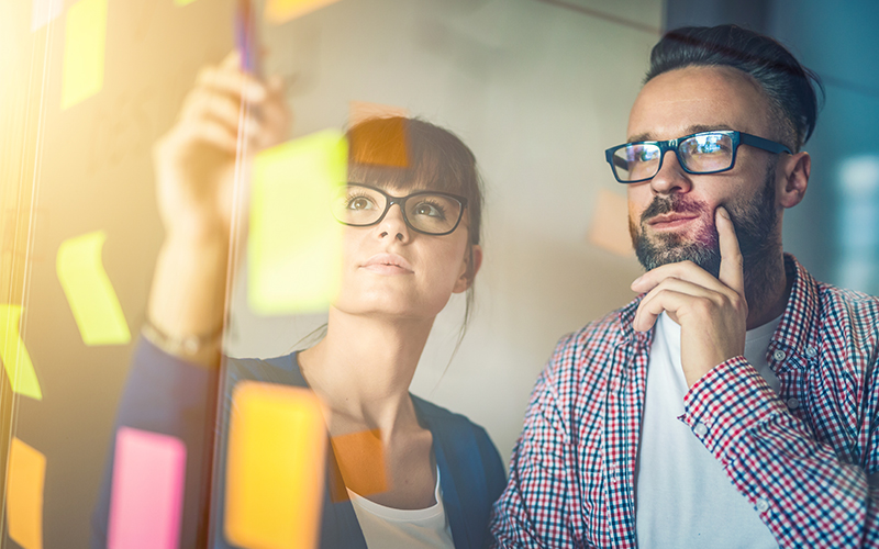 Professional Assertiveness