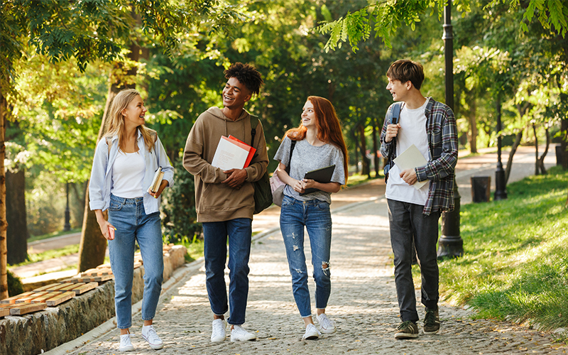 The Three Stages of the Natural Learning Cycle