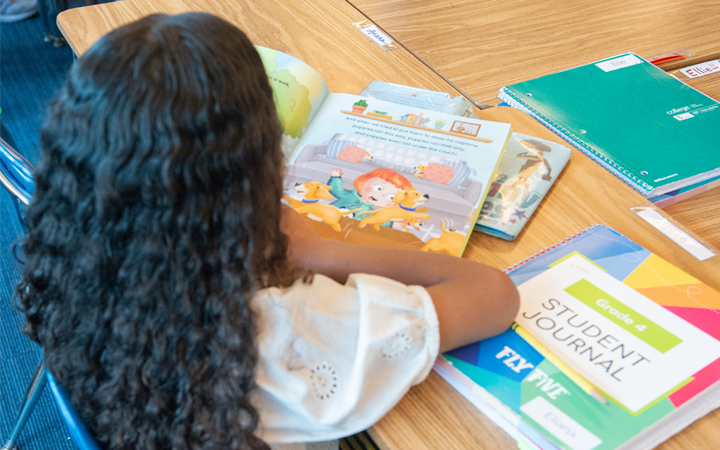 SEL + Literacy: A Powerful Pair